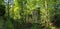 Panoramic view of a ruined ancient stone building surrounded by green forest trees and path in bright sunlight