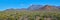 Panoramic view of Saguaro Cactue s growing in a valley at Saguaro National Park, Tucson Arizona