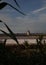 Panoramic view of the salt pans of Trapani