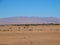 Panoramic view of sandy desert at high ATLAS MOUNTAINS range landscape in MOROCCO