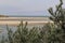 a panoramic view at the sea from the dunes