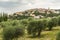 Panoramic view of Seggiano, in Tuscany