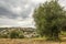 Panoramic view of Seggiano, in Tuscany