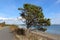 A panoramic view of Semiahmoo Spit and sea