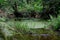 Panoramic view of small waterfalls streaming into small pond in green forestLandscape with deep forest river stream water flow. Mo