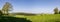 Panoramic view of spring countryside with green meadow and fores