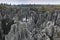 Panoramic view of the Stone forest in Kunming, Yunnan province, China also know as Shilin