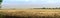 Panoramic view. Straw on mown wheat field. Harvested wheat field.
