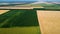 Panoramic view sunflower field, big yellow wheat field and fields with other