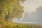 Panoramic view of the swampy shore with the morning mist