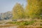 Panoramic view of the swampy shore with the morning mist