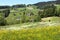 Panoramic view of Swiss mountain village in Alps