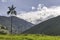 Panoramic view to Cocora valley with one wax palm in foreground, isolated palms on the mountain ridge and sea of clouds and blue