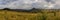 Panoramic view to nice pasture with thistle flower distant hill and overcast sky. Czech landscape