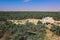 Panoramic View to the Oasis Siwa with Green Palm Trees around