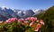 panoramic view to Ortles Mountain range from Furkelhuette, Trafoi, Italy