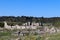 Panoramic view to the ruins of ancient city Perge, near Antalya, Turkey
