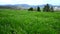 Panoramic view to the Swabian Alb mountains in Germany in spring