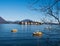 panoramic view of touring boats in the blue lake Maggiore with the background of Isola Bella