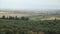 Panoramic view of the Tuscan hills. Vineyards for wine productio