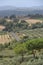 Panoramic view of the Tuscan hills. Vineyards for wine productio