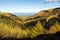 Panoramic view on the valley of Glenariff Forest Park in autumn colours