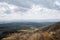 Panoramic view of the valley of vineyards Alazani valley