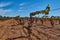 Panoramic view of a vineyard in the Spain countryside - Ademuz