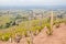 Panoramic view of the vineyards surrounding the picturesque french village of Fleurie