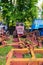 Panoramic view of vintage agricultural tractors. Vintage vehicles in Open-air Museum of Folk Architecture and Life