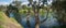 Panoramic view of Werribee river with  old trees in the water. Australian nature landscape of a waterway and its surroundings.
