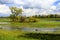 Panoramic view of wetlands and meadows with trees by the Biebrza river in Poland