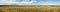 Panoramic view of a wheat field