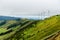 Panoramic view of wind farm or wind park, with high wind turbines for generation electricity