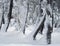 Panoramic view Wonderful winter with lots of snow and snow drifts in a Greek village on the island of Evia, Greece