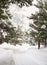 Panoramic view Wonderful winter with lots of snow and snow drifts in a Greek village on the island of Evia, Greece