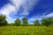 Panoramic view of the wooded meadows and wetlands - wildlife and birds reserve in the Biebrzanski National Park in Poland