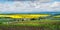 Panoramic view of yellow fields of oilseed rape and green meadows, electric poles and lakes at springtime