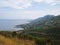 Panoramic view and yellow grass