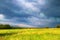 Panoramic view of the yellow-green field. Beautifull Italian landscape.