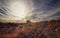 Panoramic views of Arizona desert in Valley of Fire.