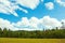 Panoramic views of the Black Forest with clouds and pine.