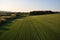 Panoramic views of green fields and forest. Top view of the ground.