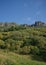 Panoramic views in a rural environment, mountain landscape with many trees and blue sky. ValdeÃ³n viewpoint, Picos de Europa,