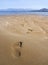 Panoramic views of the sandy beach, the mountains and footprints in the sand at low tide on Liani Ammos beach in Halkida, Greece o