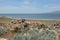 Panoramic Vista On Antelope Island