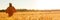 Panoramic web banner African woman in traditional clothes standing with her hands on her hips in field of barley or wheat crops at