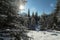 Panoramic winter background with sunlight and picturesque snow f