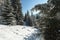 Panoramic winter background with sunlight and picturesque snow f