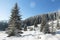 Panoramic winter background with sunlight and picturesque snow f